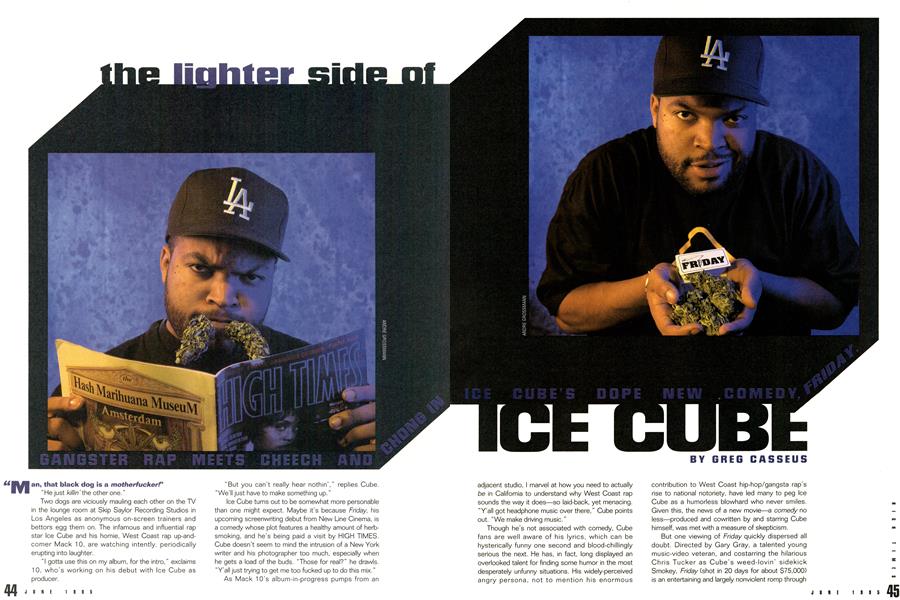 the lighter side of ICE CUBE | High Times | JUNE 1995