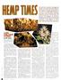 Page: - 76 | High Times