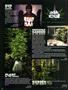 Page: - 80 | High Times