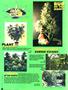 Page: - 80 | High Times