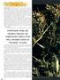 Page: - 48 | High Times