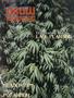 Page: - 75 | High Times