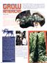 Page: - 76 | High Times