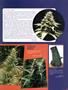 Page: - 77 | High Times