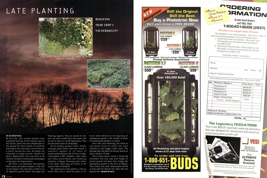 LATE PLANTING