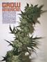 Page: - 78 | High Times