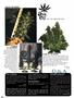 Page: - 82 | High Times