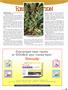 Page: - 89 | High Times