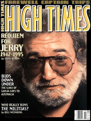 NOV 1995 | High Times