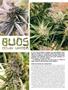 Page: - 48 | High Times