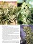 Page: - 49 | High Times