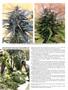 Page: - 54 | High Times