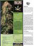 Page: - 86 | High Times