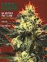 Page: - 75 | High Times