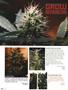 Page: - 78 | High Times