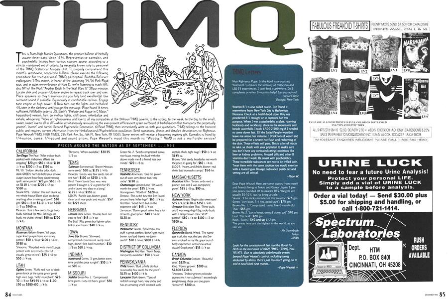THMQ