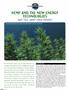 Page: - 26 | High Times