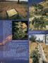 Page: - 46 | High Times