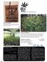 Page: - 82 | High Times