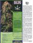 Page: - 86 | High Times