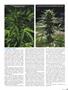 Page: - 45 | High Times