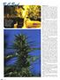 Page: - 48 | High Times