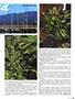 Page: - 51 | High Times