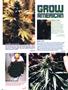 Page: - 72 | High Times