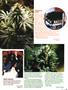 Page: - 73 | High Times