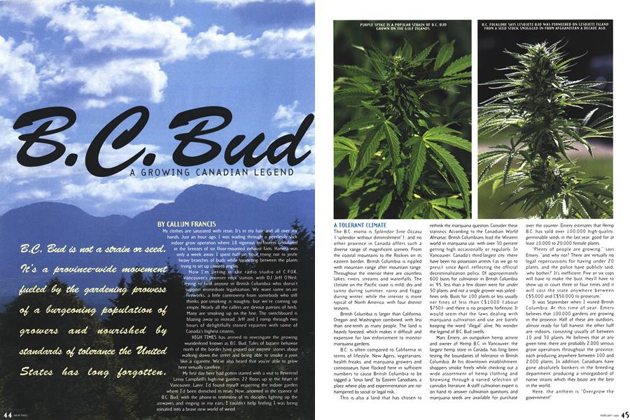 B.C. Bud