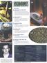 Page: - 4 | High Times