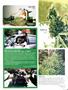 Page: - 79 | High Times