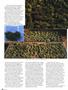 Page: - 48 | High Times