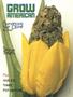 Page: - 75 | High Times