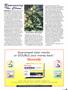 Page: - 89 | High Times