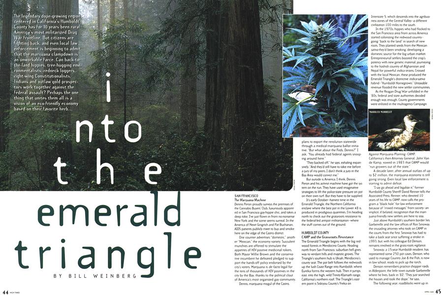 in to the emerald triangle