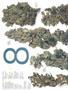 Page: - 50 | High Times