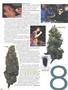 Page: - 56 | High Times