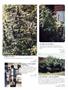 Page: - 79 | High Times
