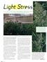 Page: - 80 | High Times