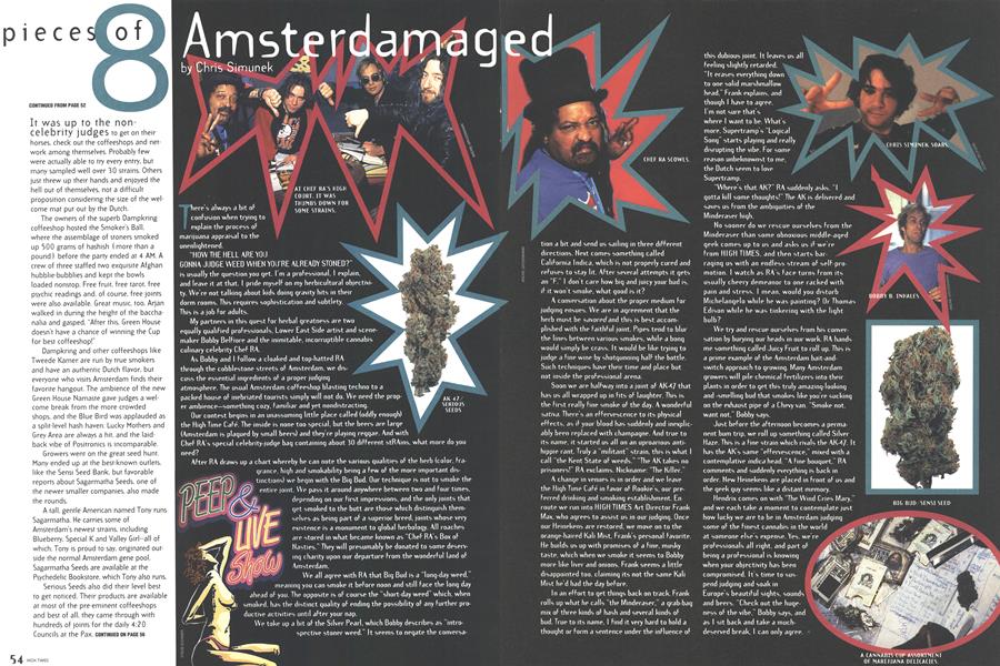 Amsterdamaged