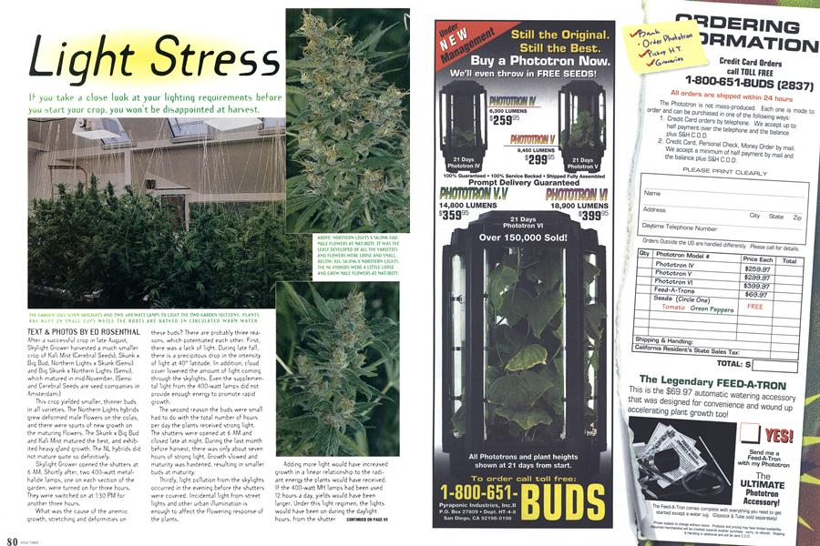 Light Stress