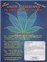 Page: - 17 | High Times