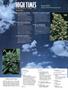 Page: - 4 | High Times