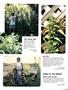 Page: - 79 | High Times