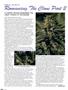 Page: - 80 | High Times