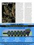 Page: - 89 | High Times