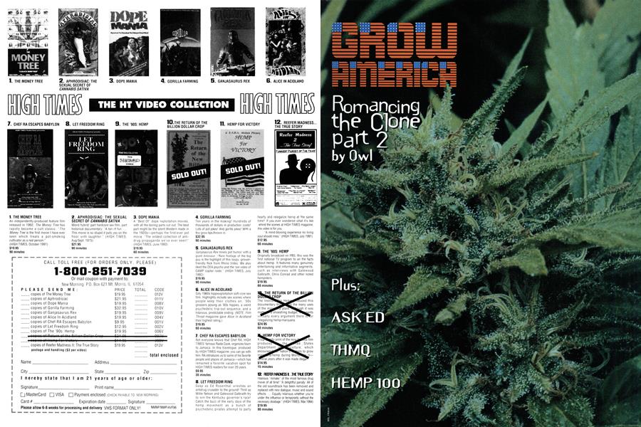 GROW AMERICA