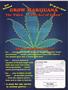 Page: - 17 | High Times