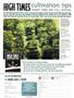 Page: - 55 | High Times